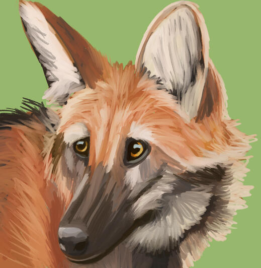 maned wolf painting